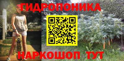соль ск Можга