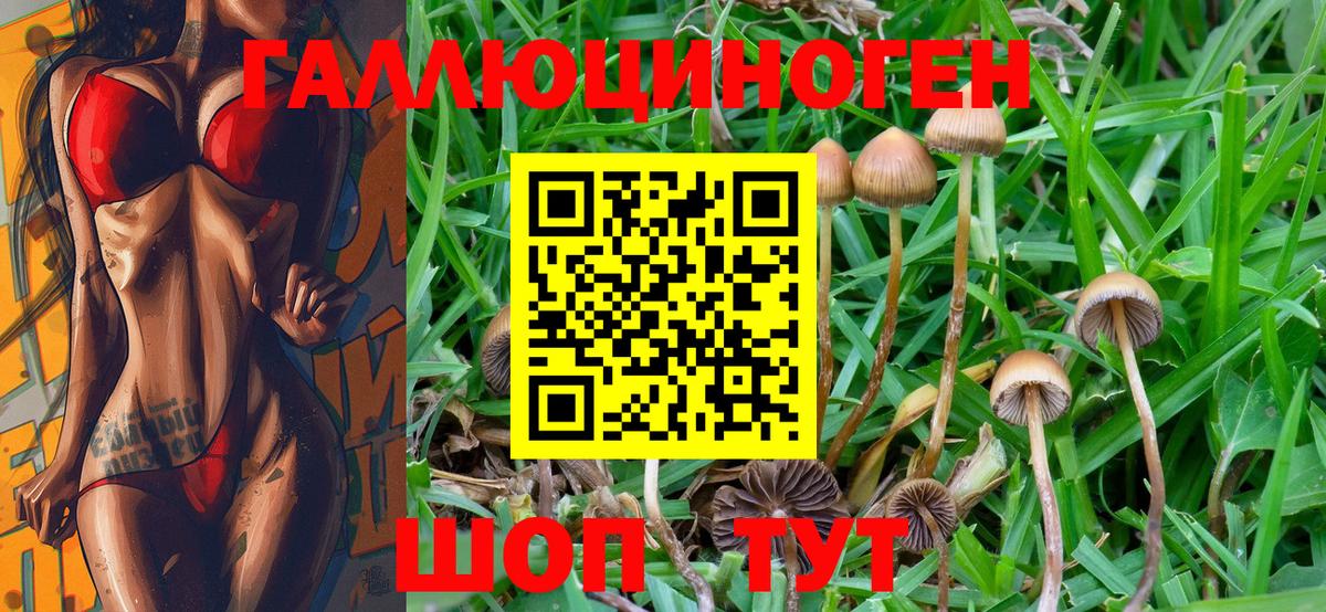 Псилоцибиновые грибы Psilocybine cubensis  Вход с VPN  купить закладку  Торжок 
