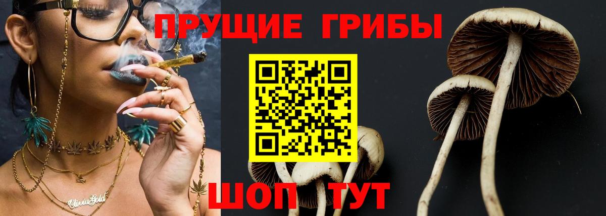 Каннабис  Меф МЯУ МЯУ кристаллы  Торжок  Гашиш  Купить наркотики  NBOMe  МЕФ  Вход с VPN 